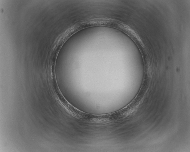 X0000080800633200612151033