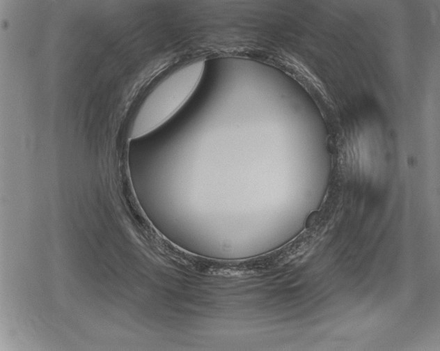 X0000080800635200612151033