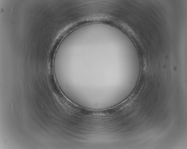 X0000080800636200612151033