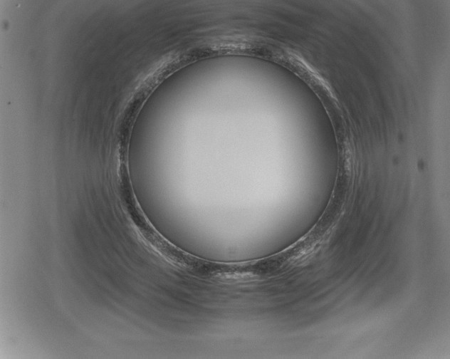 X0000080800637200612151033