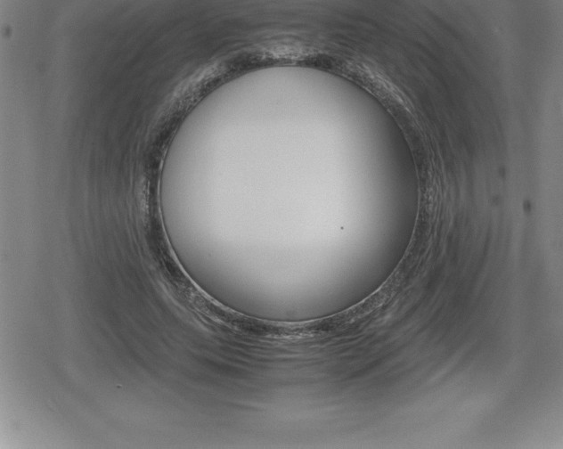 X0000080800639200612151033