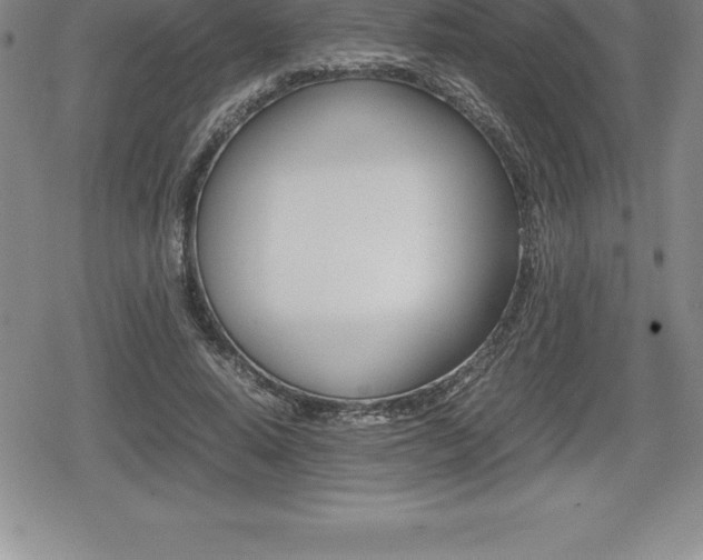 X0000080800640200612151033