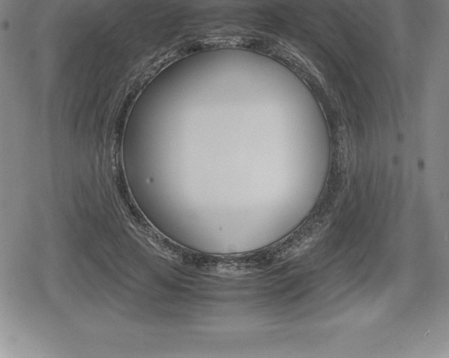 X0000080800641200612151033