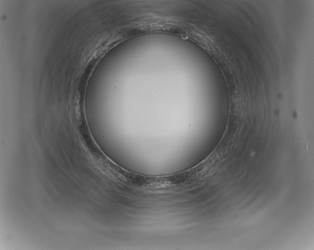 X0000080800642200612151033