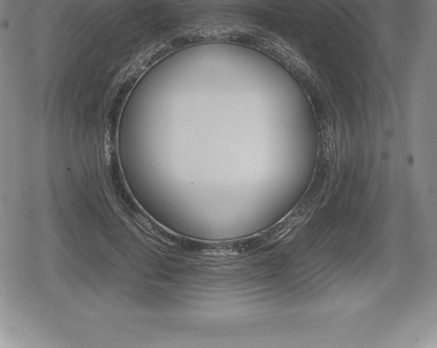 X0000080800644200612151033