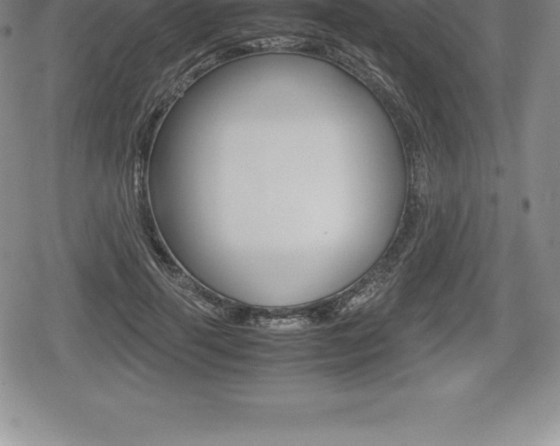 X0000080800645200612151033