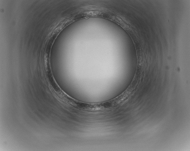X0000080800646200612151033