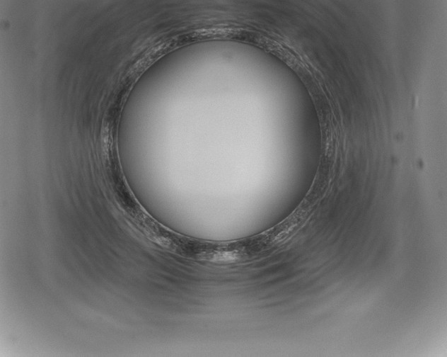 X0000080800647200612151034