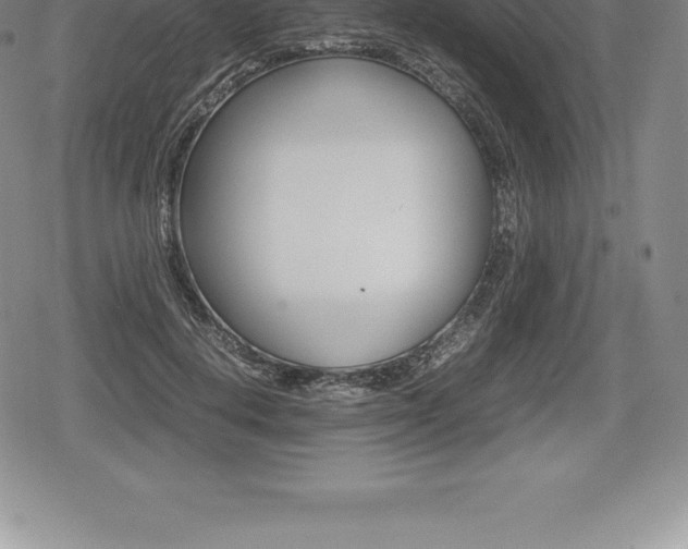 X0000080800648200612151034