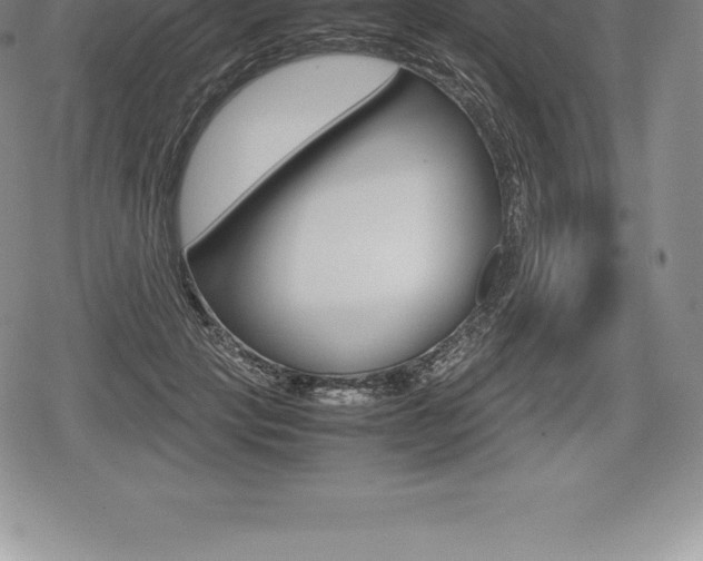 X0000080800649200612151034