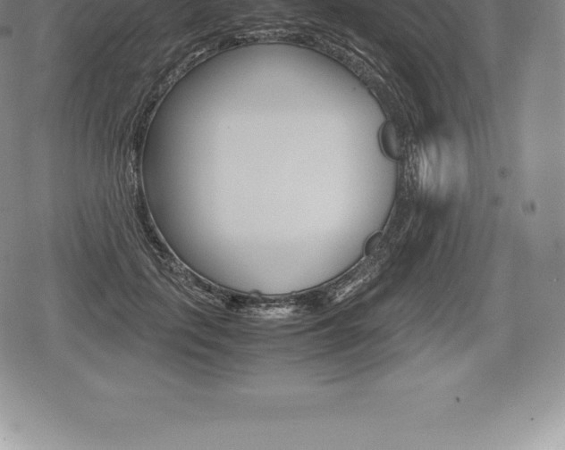 X0000080800651200612151034