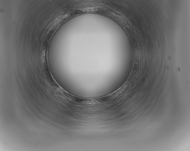 X0000080800652200612151034