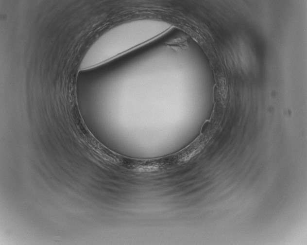 X0000080800653200612151034