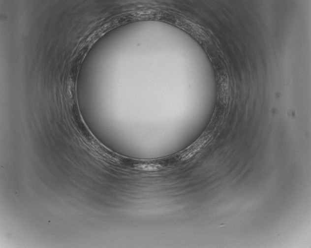 X0000080800654200612151034