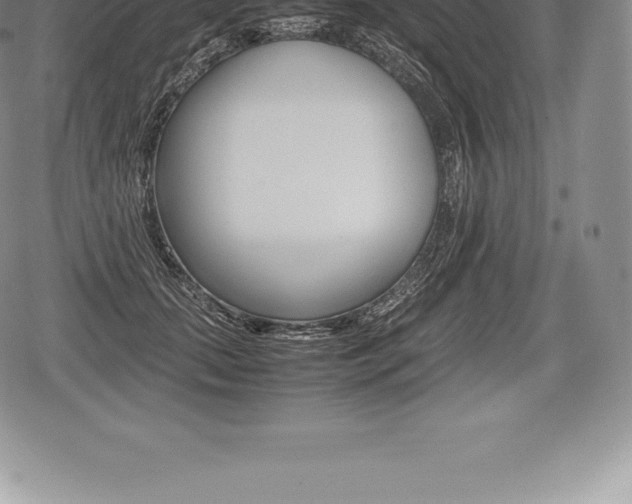 X0000080800655200612151034