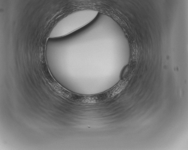 X0000080800656200612151034