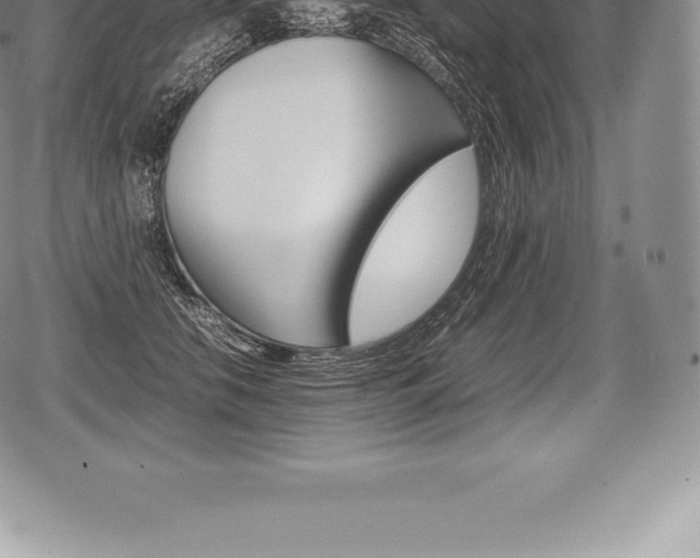 X0000080800658200612151034