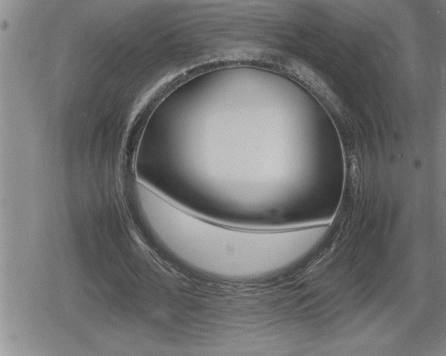 X0000080800676200612151033