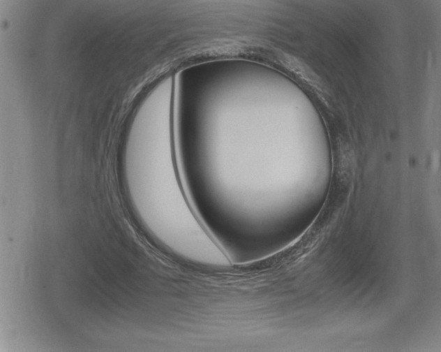 X0000080800681200612151033