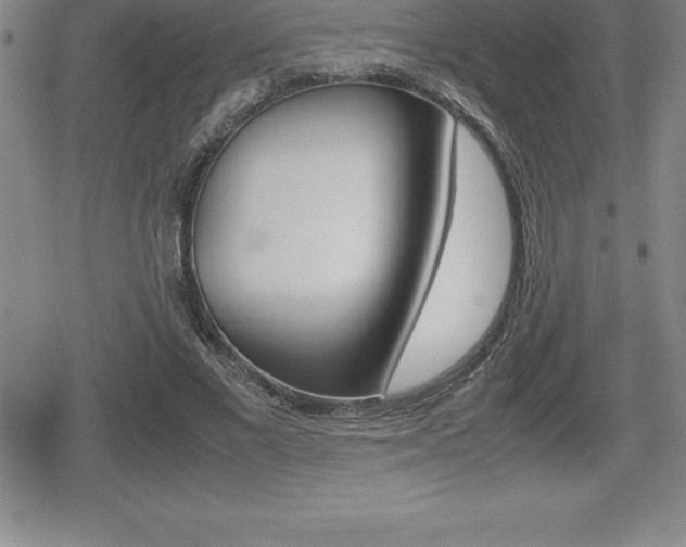 X0000080800685200612151033