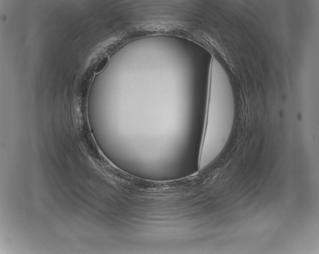 X0000080800688200612151033