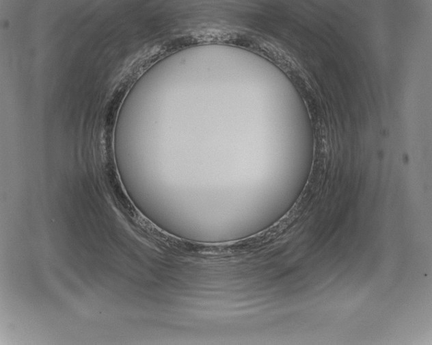 X0000080800690200612151033