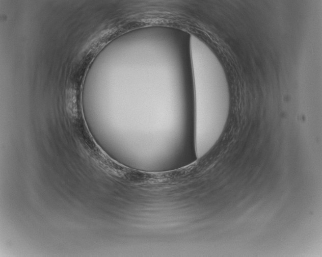 X0000080800696200612151033