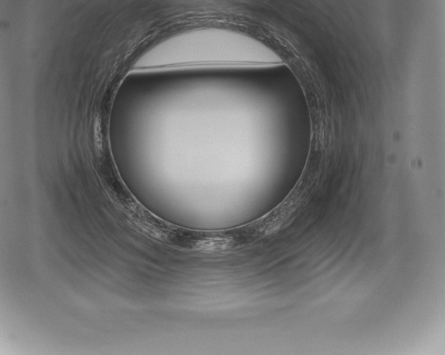 X0000080800700200612151033