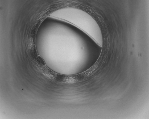 X0000080800704200612151033