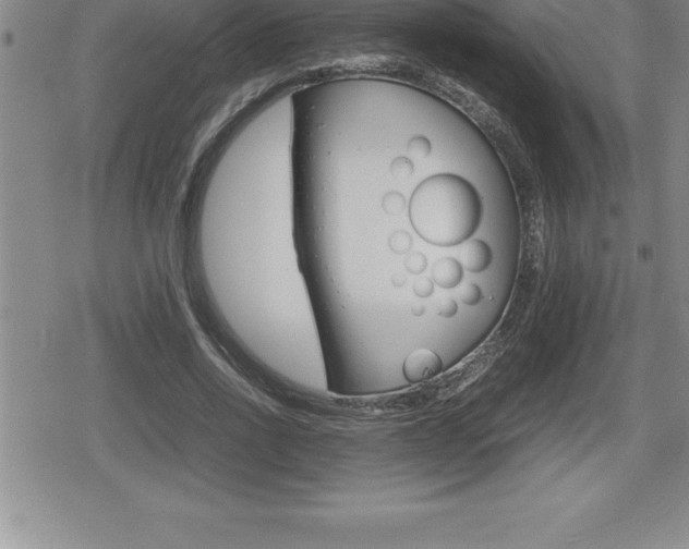 X0000080800734200612151032
