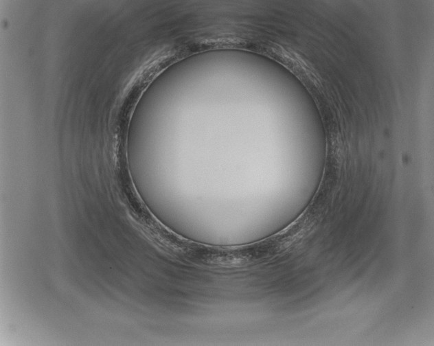 X0000080800735200612151032