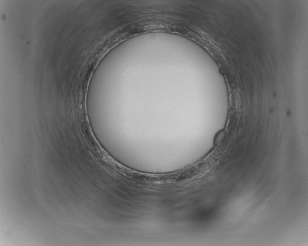 X0000080800737200612151032