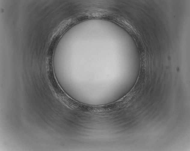 X0000080800738200612151032