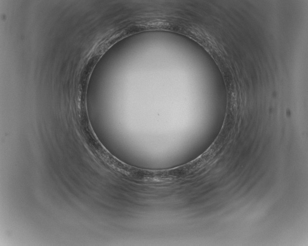 X0000080800739200612151032