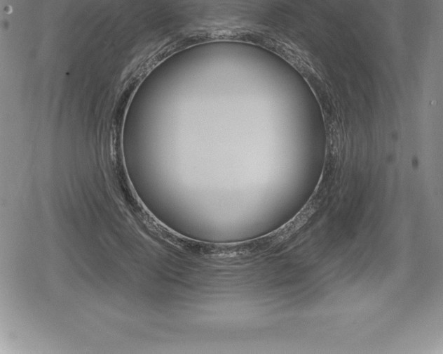 X0000080800740200612151032