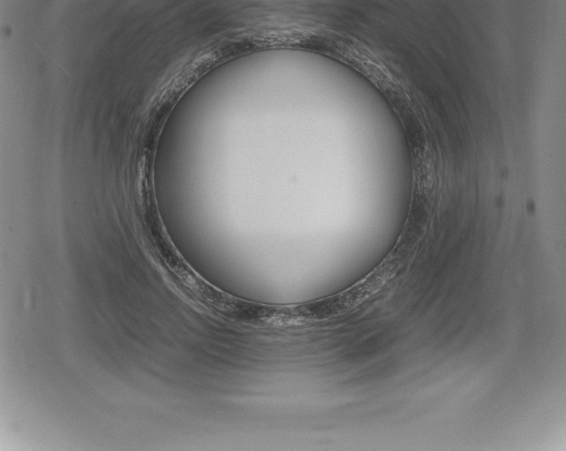 X0000080800742200612151032