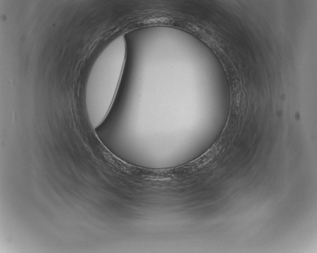 X0000080800743200612151032