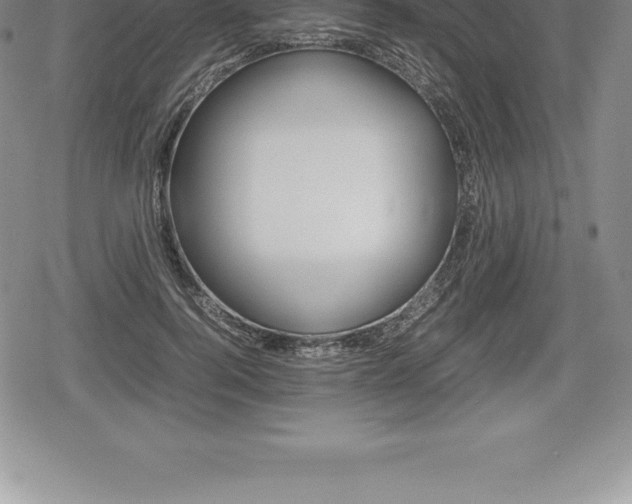 X0000080800744200612151032