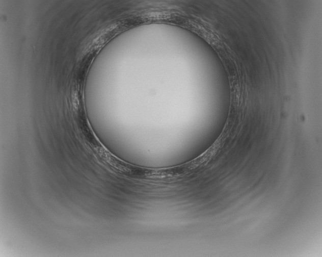 X0000080800746200612151032