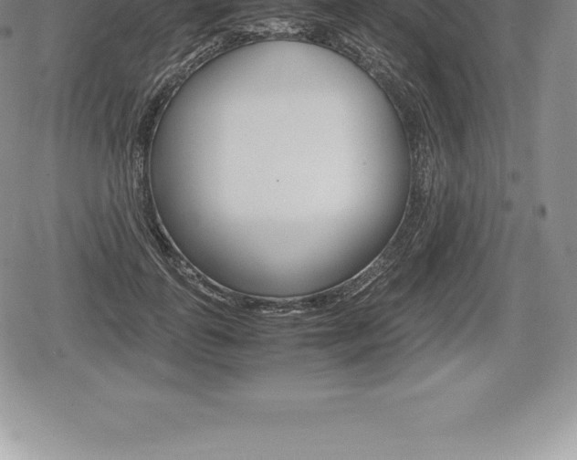 X0000080800747200612151032