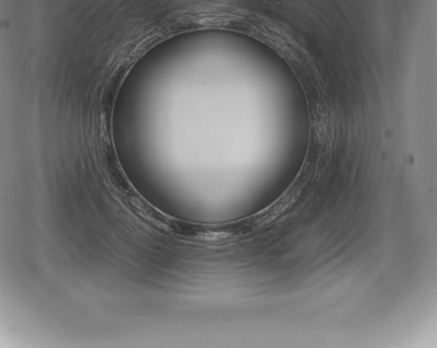 X0000080800748200612151032