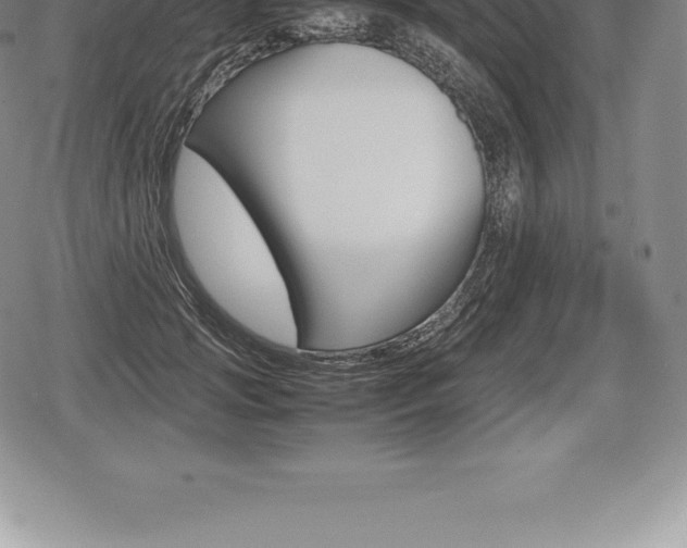 X0000080800749200612151032