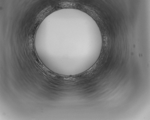 X0000080800753200612151032