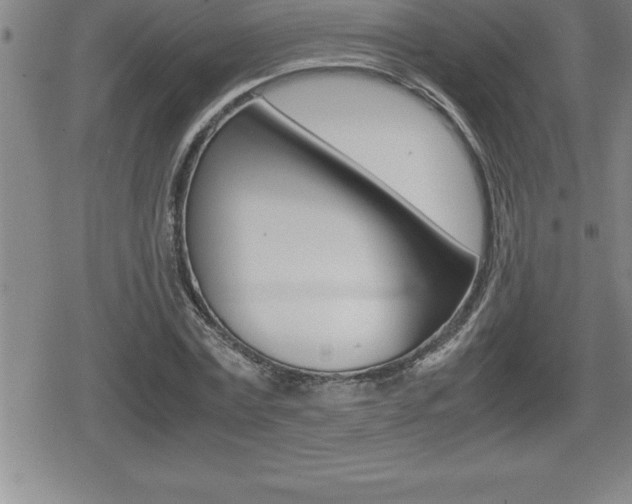 X0000080800779200612151031