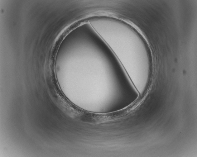 X0000080800783200612151031