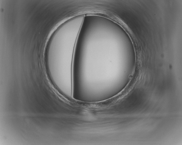 X0000080800787200612151031