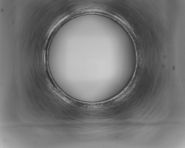 X0000080800790200612151031