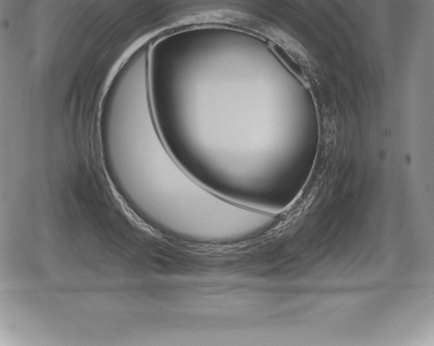 X0000080800792200612151031