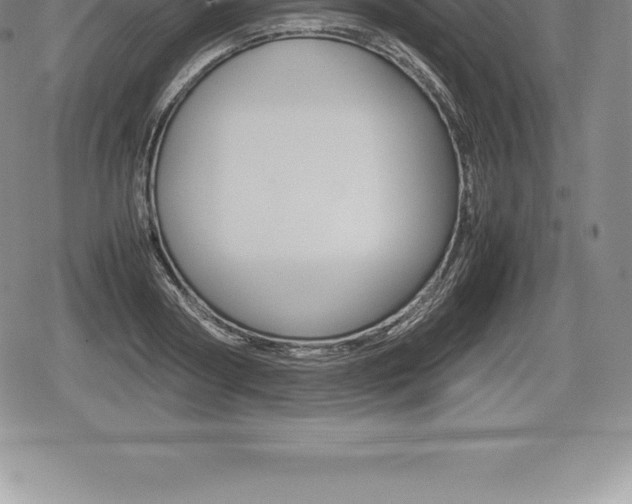 X0000080800794200612151031