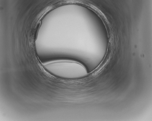 X0000080800801200612151031
